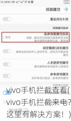 vivo手机拦截查看(vivo手机拦截来电？这里有解决方案！)