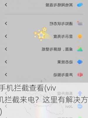 vivo手机拦截查看(vivo手机拦截来电？这里有解决方案！)