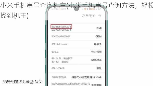 小米手机串号查询机主(小米手机串号查询方法，轻松找到机主)