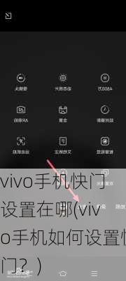 vivo手机快门设置在哪(vivo手机如何设置快门？)