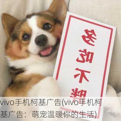 vivo手机柯基广告(vivo手机柯基广告：萌宠温暖你的生活)