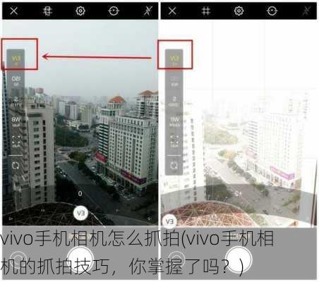 vivo手机相机怎么抓拍(vivo手机相机的抓拍技巧，你掌握了吗？)