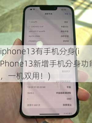 iphone13有手机分身(iPhone13新增手机分身功能，一机双用！)