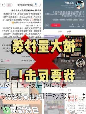 vivo手机被后(vivo遭受抄袭，被同行抄袭后，如何自救？)