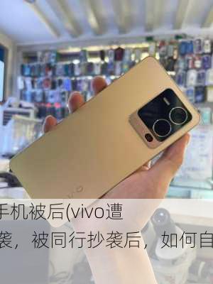 vivo手机被后(vivo遭受抄袭，被同行抄袭后，如何自救？)