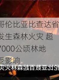 哥伦比亚比查达省发生森林火灾 超7000公顷林地受影响