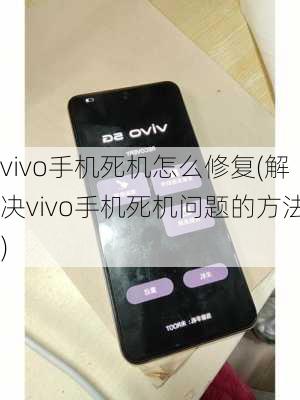 vivo手机死机怎么修复(解决vivo手机死机问题的方法)