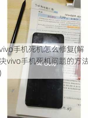 vivo手机死机怎么修复(解决vivo手机死机问题的方法)