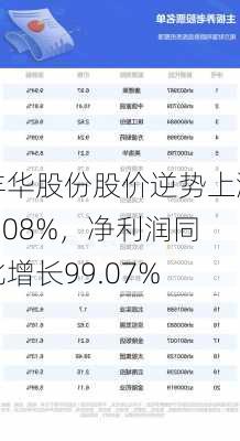 丰华股份股价逆势上涨5.08%，净利润同比增长99.07%