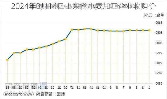 2024年3月14日山东省小麦加工企业收购价