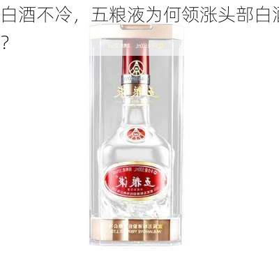 白酒不冷，五粮液为何领涨头部白酒？