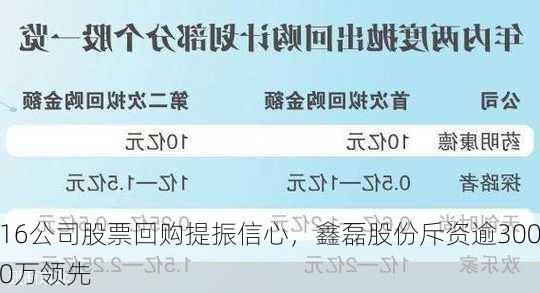 16公司股票回购提振信心，鑫磊股份斥资逾3000万领先