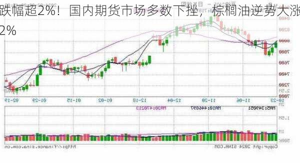 跌幅超2%！国内期货市场多数下挫，棕榈油逆势大涨2%