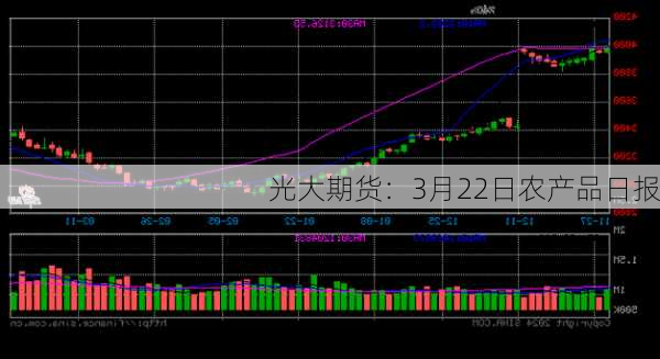 光大期货：3月22日农产品日报