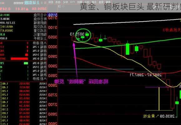 黄金、铜板块巨头 最新研判！