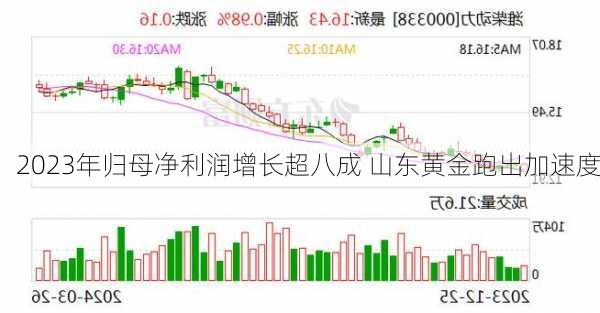 2023年归母净利润增长超八成 山东黄金跑出加速度