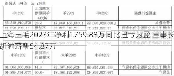 上海三毛2023年净利1759.88万同比扭亏为盈 董事长胡渝薪酬54.87万