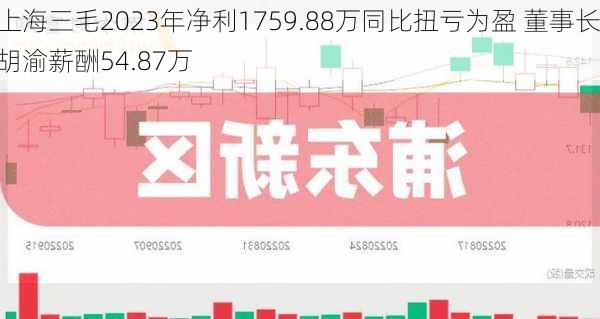 上海三毛2023年净利1759.88万同比扭亏为盈 董事长胡渝薪酬54.87万