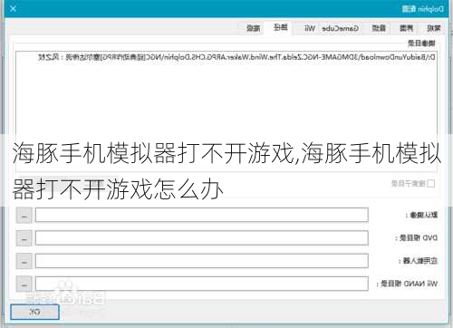 海豚手机模拟器打不开游戏,海豚手机模拟器打不开游戏怎么办