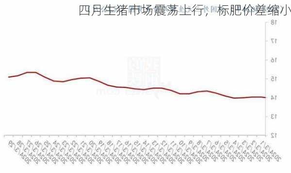 四月生猪市场震荡上行，标肥价差缩小