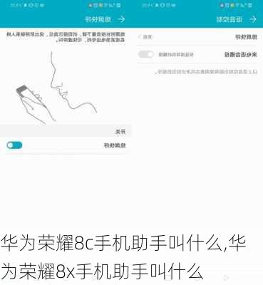 华为荣耀8c手机助手叫什么,华为荣耀8x手机助手叫什么