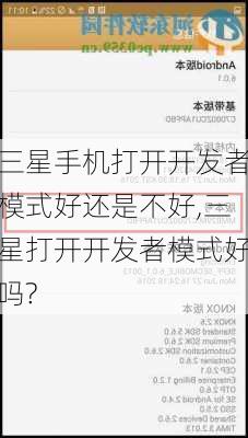 三星手机打开开发者模式好还是不好,三星打开开发者模式好吗?