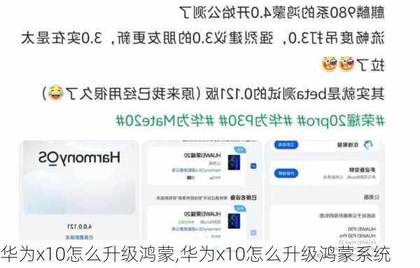 华为x10怎么升级鸿蒙,华为x10怎么升级鸿蒙系统
