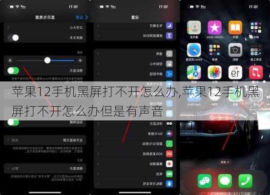 苹果12手机黑屏打不开怎么办,苹果12手机黑屏打不开怎么办但是有声音