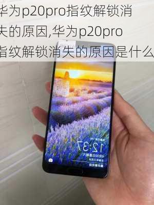 华为p20pro指纹解锁消失的原因,华为p20pro指纹解锁消失的原因是什么