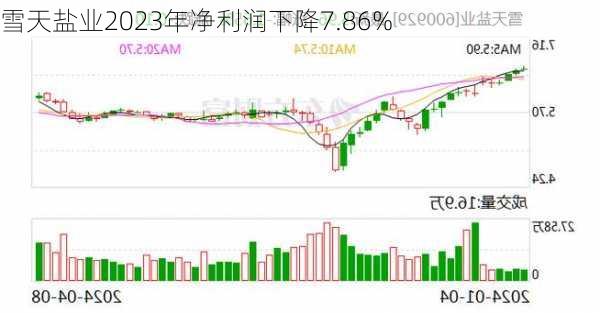 雪天盐业2023年净利润下降7.86%