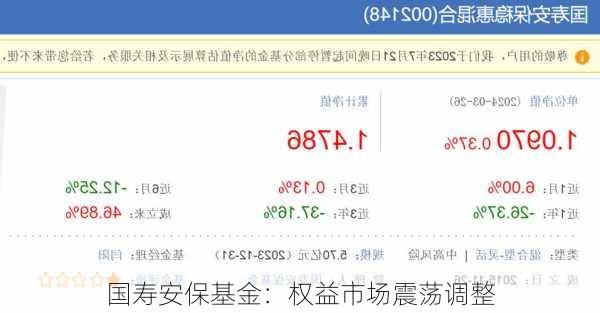 国寿安保基金：权益市场震荡调整