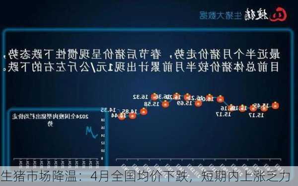 生猪市场降温：4月全国均价下跌，短期内上涨乏力