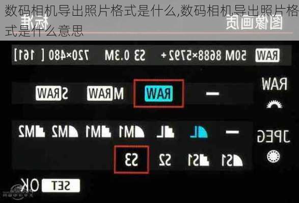 数码相机导出照片格式是什么,数码相机导出照片格式是什么意思