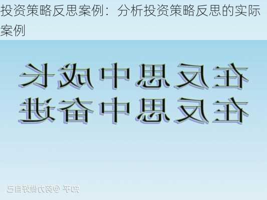 投资策略反思案例：分析投资策略反思的实际案例