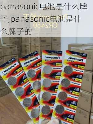 panasonic电池是什么牌子,panasonic电池是什么牌子的