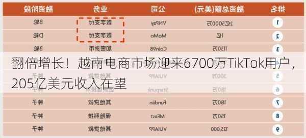 翻倍增长！越南电商市场迎来6700万TikTok用户，205亿美元收入在望