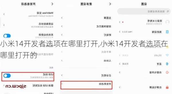 小米14开发者选项在哪里打开,小米14开发者选项在哪里打开的