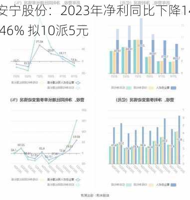 安宁股份：2023年净利同比下降14.46% 拟10派5元