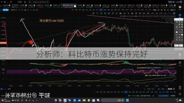 分析师：料比特币涨势保持完好