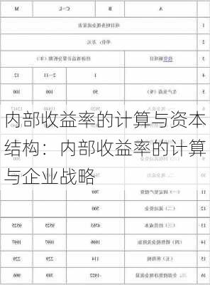 内部收益率的计算与资本结构：内部收益率的计算与企业战略