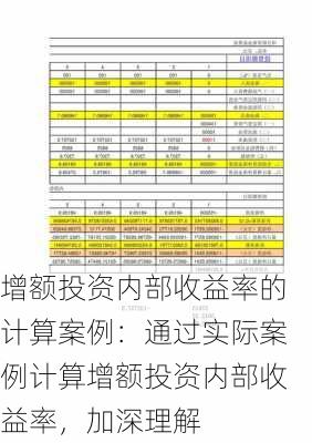 增额投资内部收益率的计算案例：通过实际案例计算增额投资内部收益率，加深理解