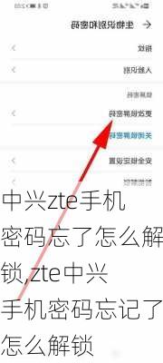 中兴zte手机密码忘了怎么解锁,zte中兴手机密码忘记了怎么解锁