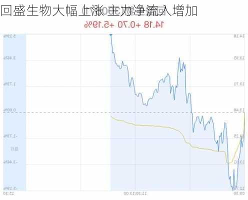 回盛生物大幅上涨 主力净流入增加