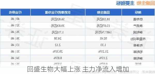 回盛生物大幅上涨 主力净流入增加