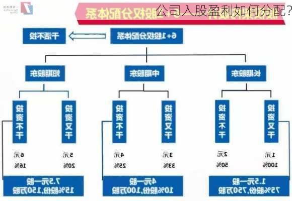 公司入股盈利如何分配？