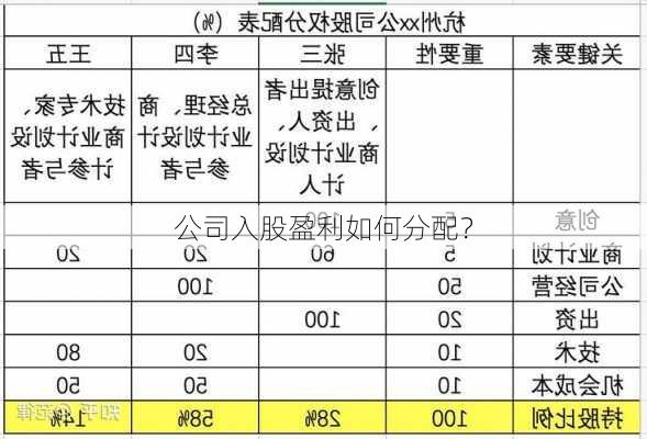 公司入股盈利如何分配？