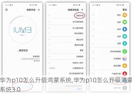 华为p10怎么升级鸿蒙系统,华为p10怎么升级鸿蒙系统3.0