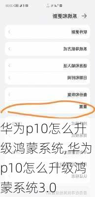 华为p10怎么升级鸿蒙系统,华为p10怎么升级鸿蒙系统3.0