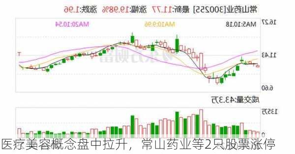 医疗美容概念盘中拉升，常山药业等2只股票涨停