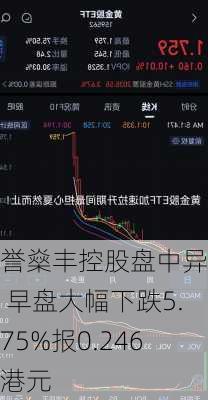 誉燊丰控股盘中异动 早盘大幅下跌5.75%报0.246港元